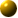 bullet